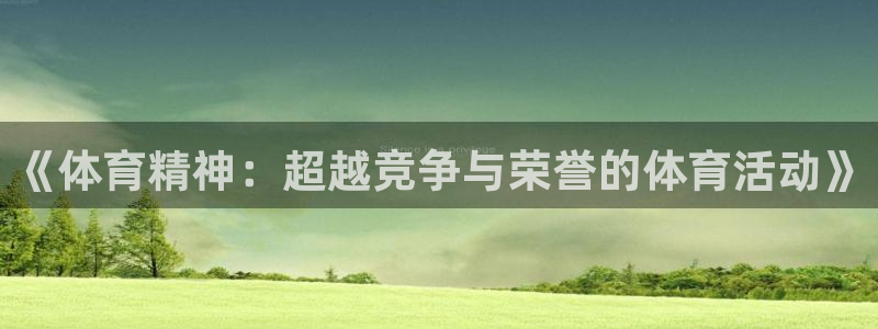 vsport体育在线官网：《体育精神：超越竞争与荣誉的体育活动》