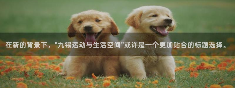 vsport体育在线官网：在新的背景下，\