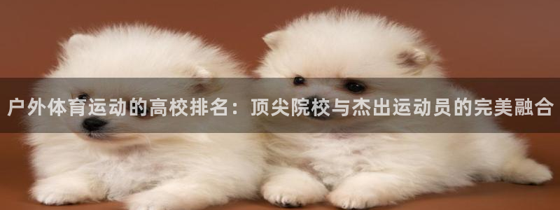 vsport体育：户外体育运动的高校排名：顶尖院校与杰出运动员的完美融合