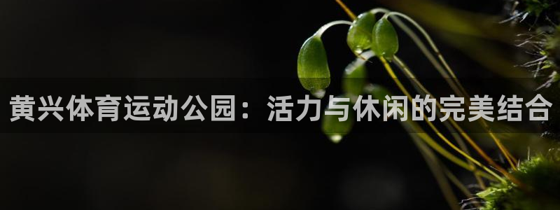 vsport体育：黄兴体育运动公园：活力与休闲的完美结合