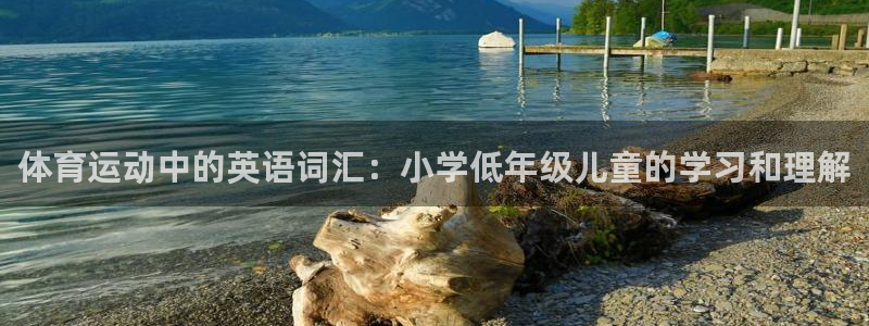 vsport体育在线官网：体育运动中的英语词汇：小学低年级儿童的学习和理解