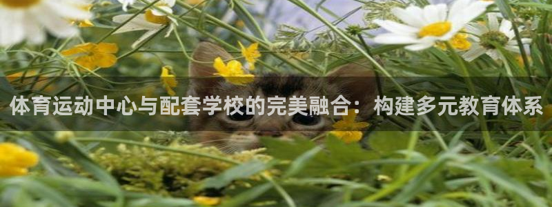vsport体育：体育运动中心与配套学校的完美融合：构建多元教育体系